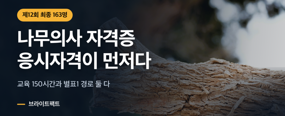 나무의사 자격증, 합격률 23%보다 먼저 막히는 곳
