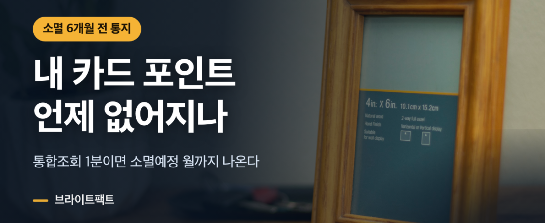 카드포인트 조회, 소멸 6개월 전부터 명세서에 있다