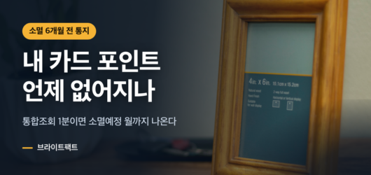 카드포인트 조회, 소멸 6개월 전부터 명세서에 있다 카드 포인트 소멸 기간 확인 한 줄 안내를 얹은 대표 카드