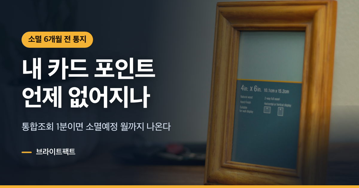 카드포인트 조회, 소멸 6개월 전부터 명세서에 있다