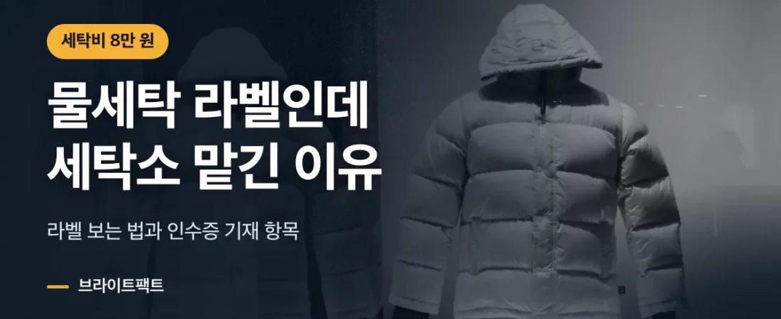 패딩 세탁 방법, 물세탁 라벨인데 세탁소에 8만원 낸 이유