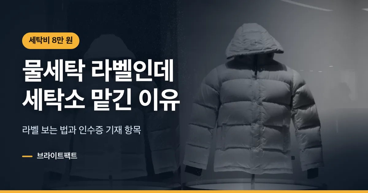 패딩 세탁 방법, 물세탁 라벨인데 세탁소에 8만원 낸 이유